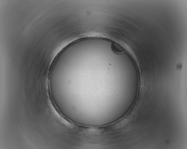 X0000112420847200908281837