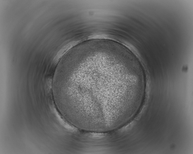 X0000112420849200908281837