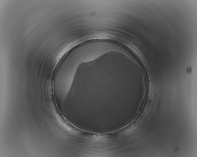 X0000112420850200908281837