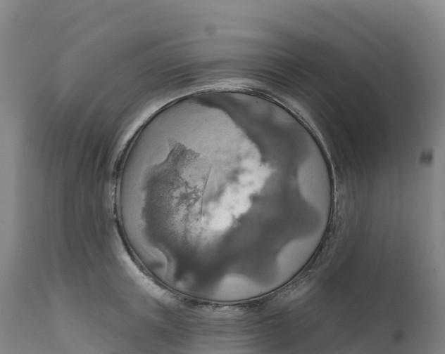 X0000112420851200908281837