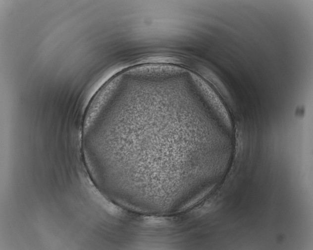 X0000112420852200908281837