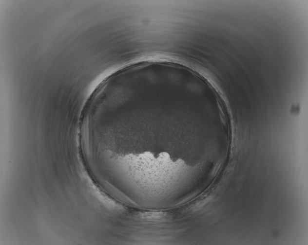 X0000112420853200908281837