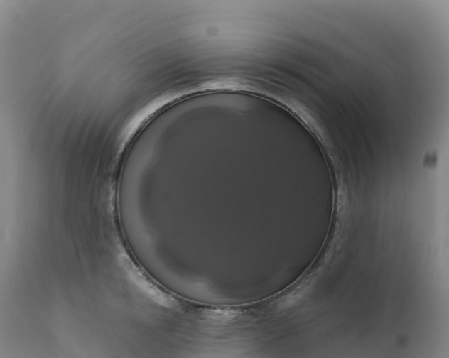 X0000112420854200908281837