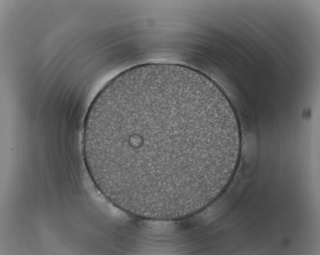 X0000112420856200908281837