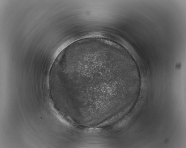 X0000112420858200908281837