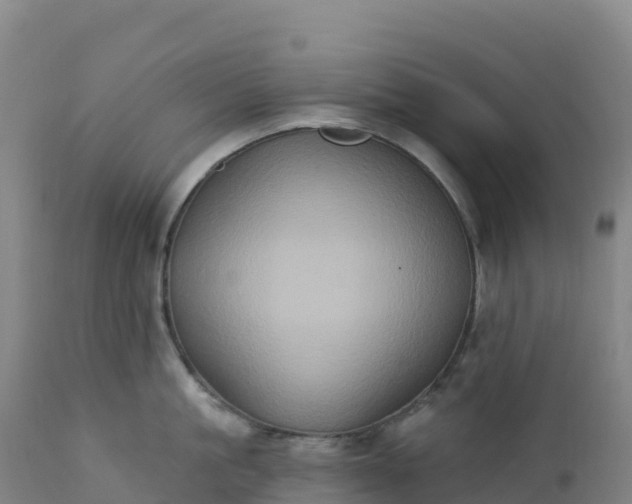 X0000112420861200908281837