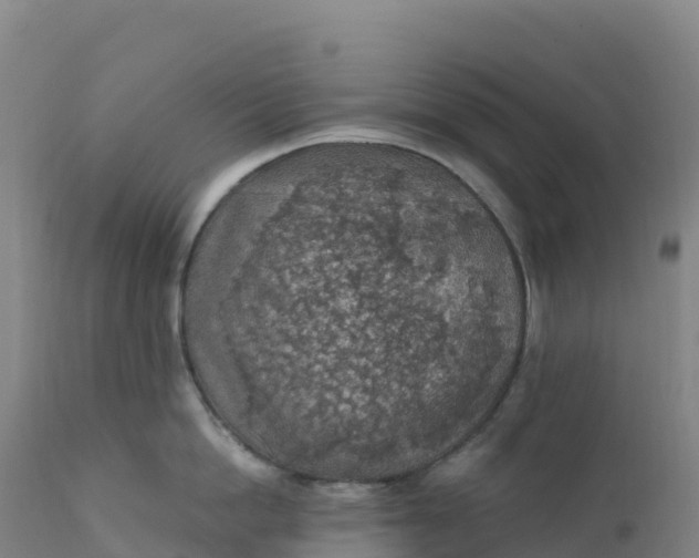 X0000112420862200908281837