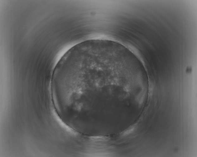 X0000112420863200908281837