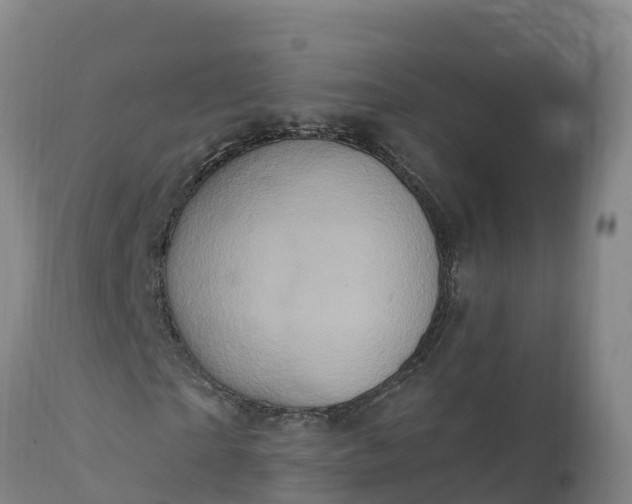 X0000112420865200908281836