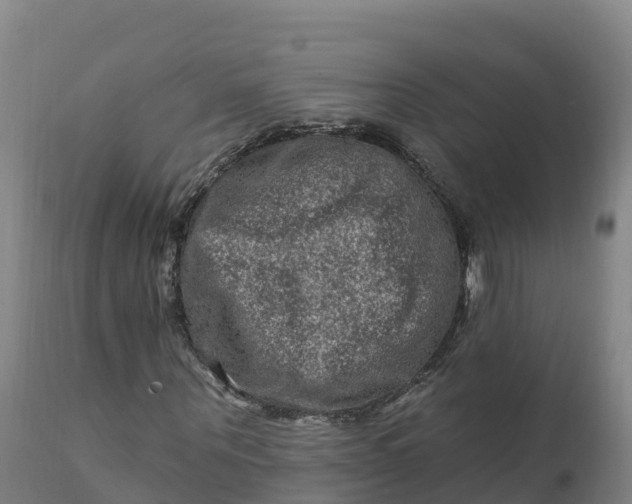 X0000112420867200908281836