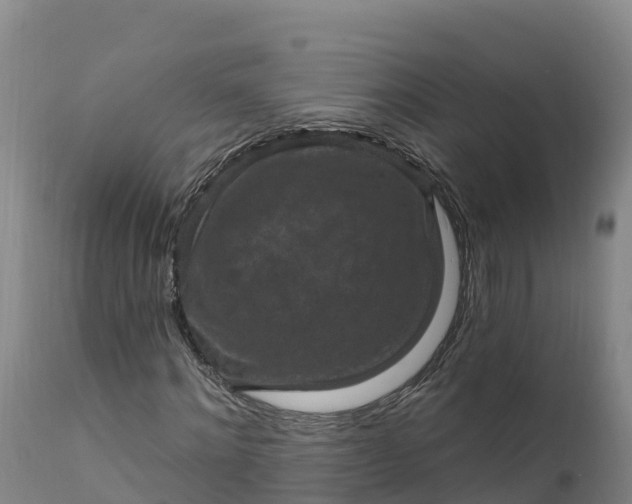 X0000112420868200908281836