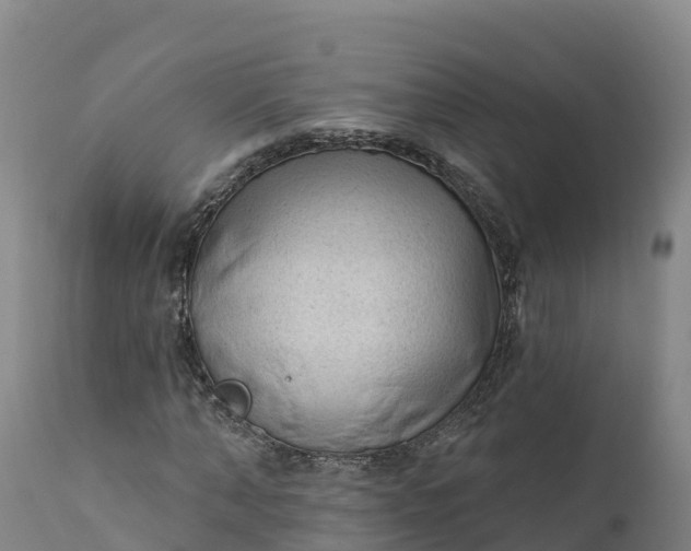 X0000112420870200908281836