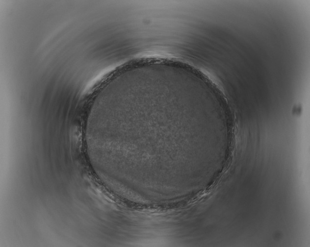 X0000112420872200908281836