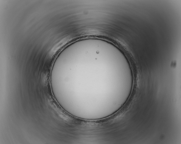 X0000112420873200908281836