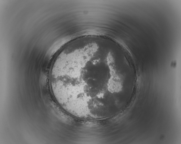 X0000112420874200908281836