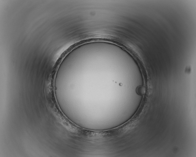 X0000112420875200908281836