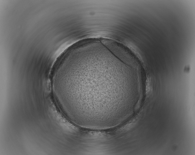 X0000112420876200908281836