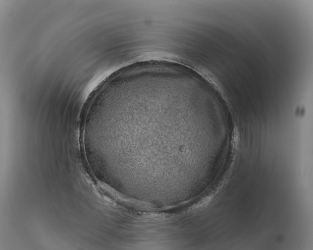 X0000112420877200908281836