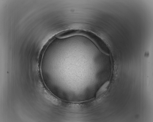 X0000112420880200908281836