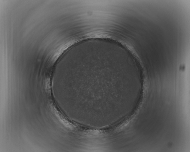 X0000112420881200908281836