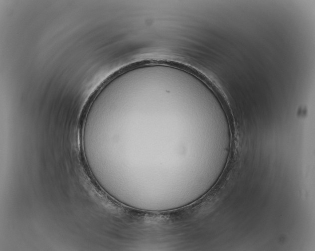 X0000112420887200908281836