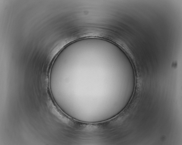 X0000112420890200908281836