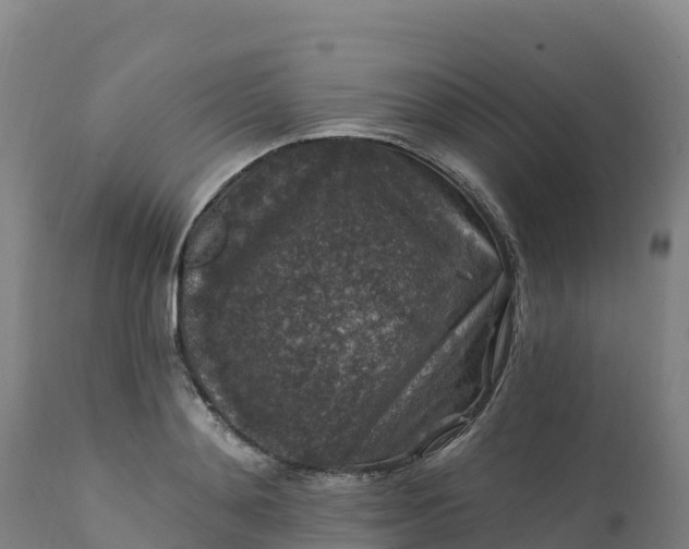 X0000112420892200908281835