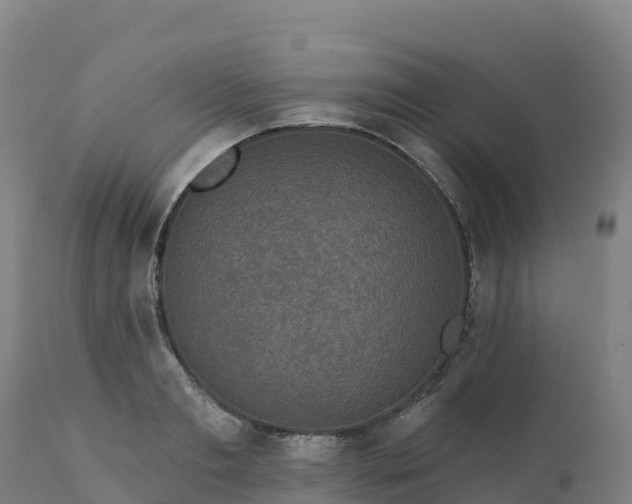 X0000112420893200908281835