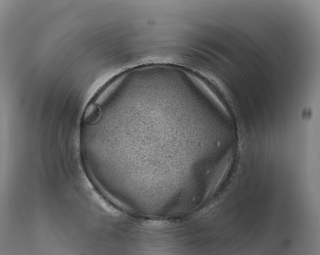 X0000112420894200908281835