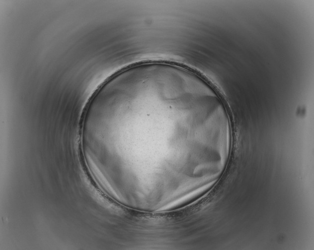 X0000112420895200908281835