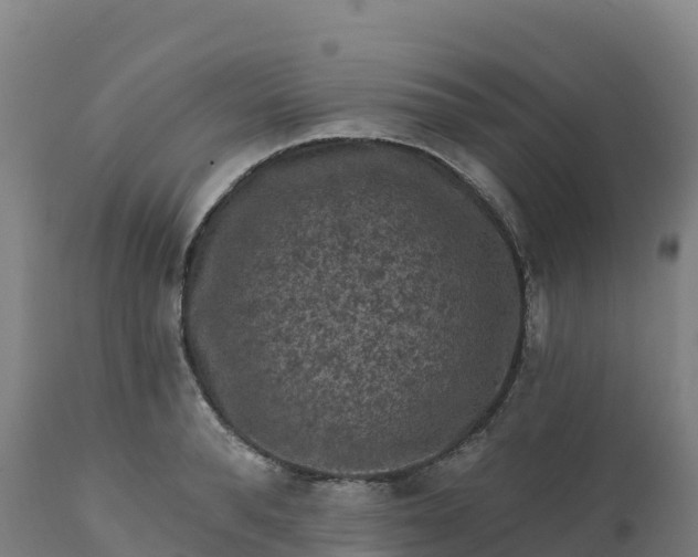 X0000112420896200908281835