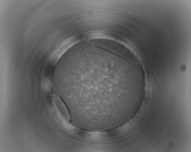 X0000112420897200908281835