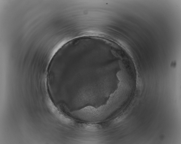 X0000112420899200908281835