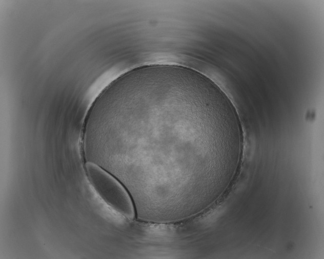 X0000112420901200908281835