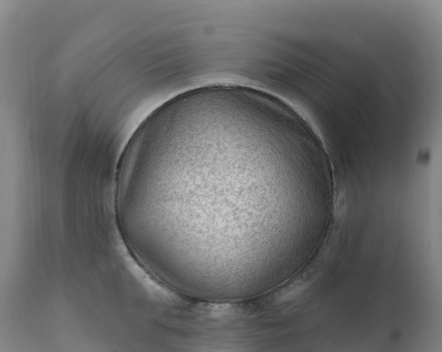 X0000112420903200908281835