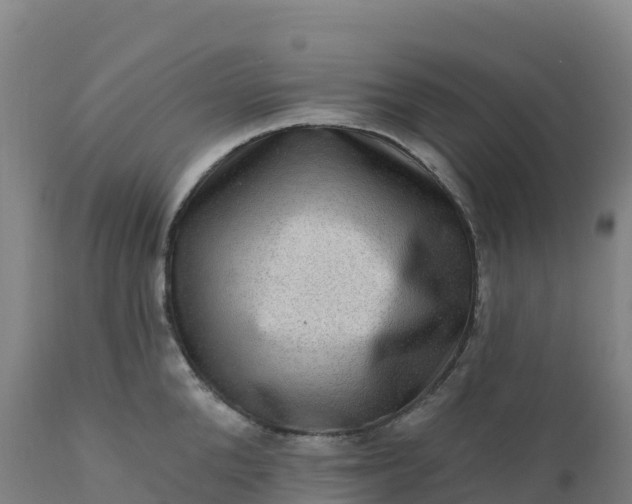 X0000112420904200908281835