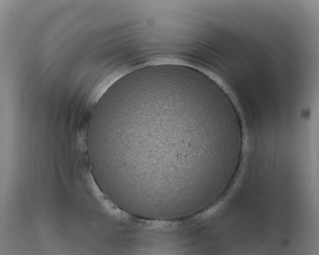 X0000112420905200908281835