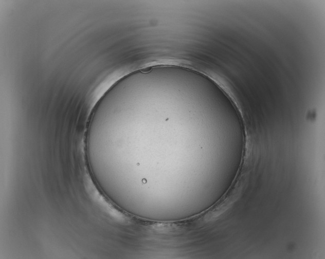 X0000112420906200908281835