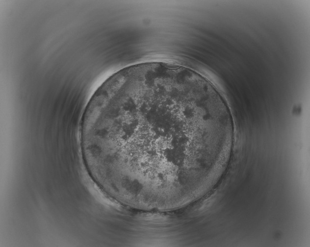 X0000112420907200908281835