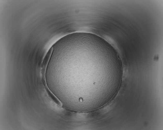 X0000112420908200908281835