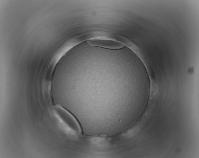 X0000112420909200908281835