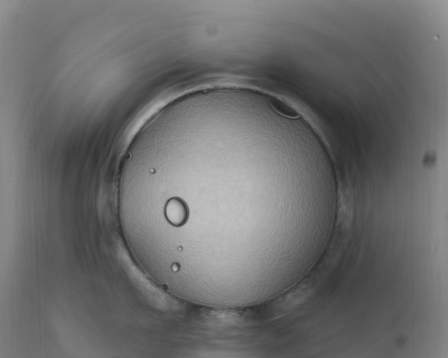 X0000112420911200908281835