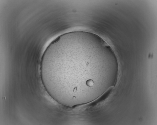 X0000112420912200908281835