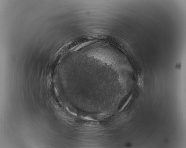 X0000112420915200908281834