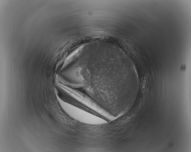 X0000112420916200908281834