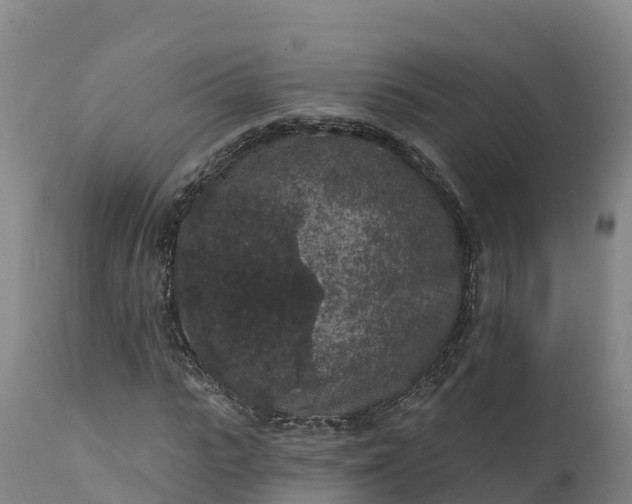 X0000112420919200908281834