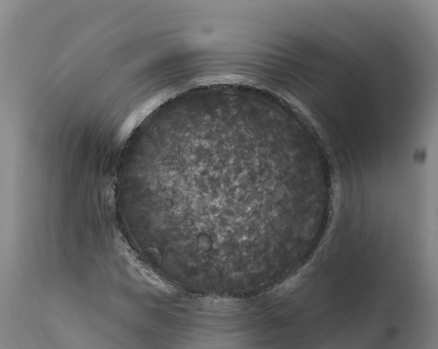 X0000112420921200908281834