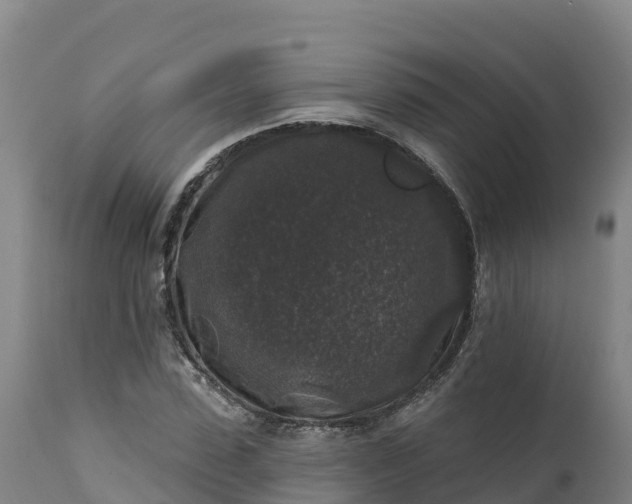 X0000112420923200908281835