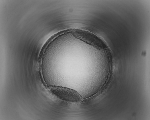 X0000112420924200908281835