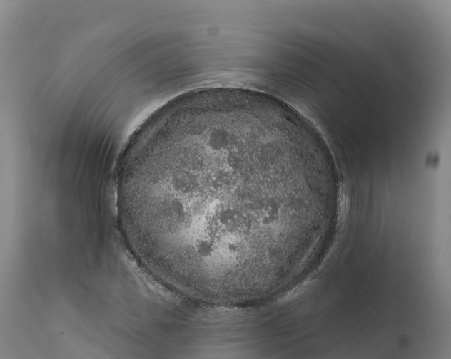 X0000112420925200908281835